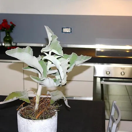 Apartment Gilda E Vesuvio Bergamo